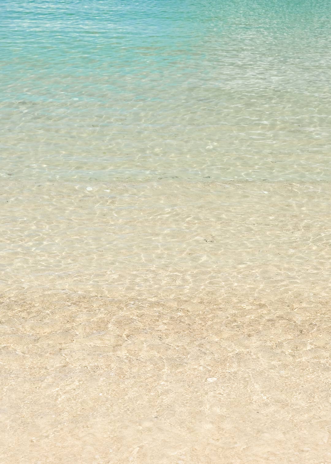 eau turquoise composition photographique studio moga